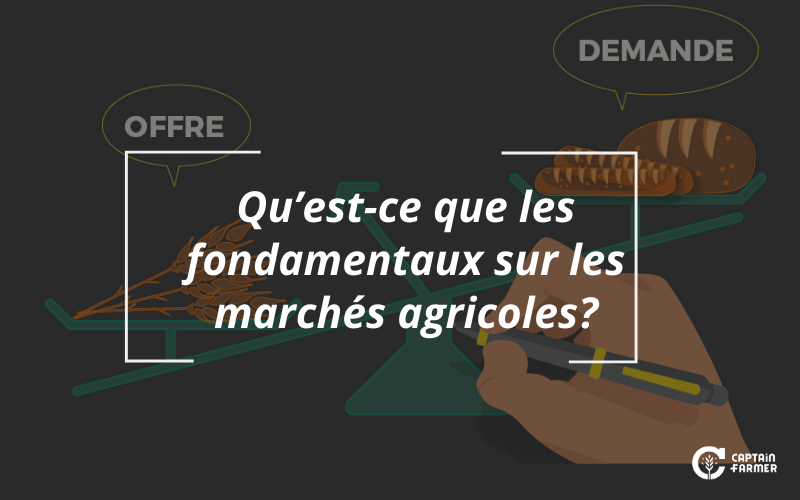 Les fondamentaux sur les marchés agricoles, qu’est-ce que c’est?