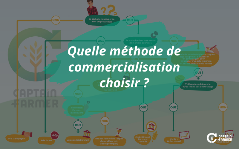 Quelle méthode de commercialisation choisir pour mes céréales ?